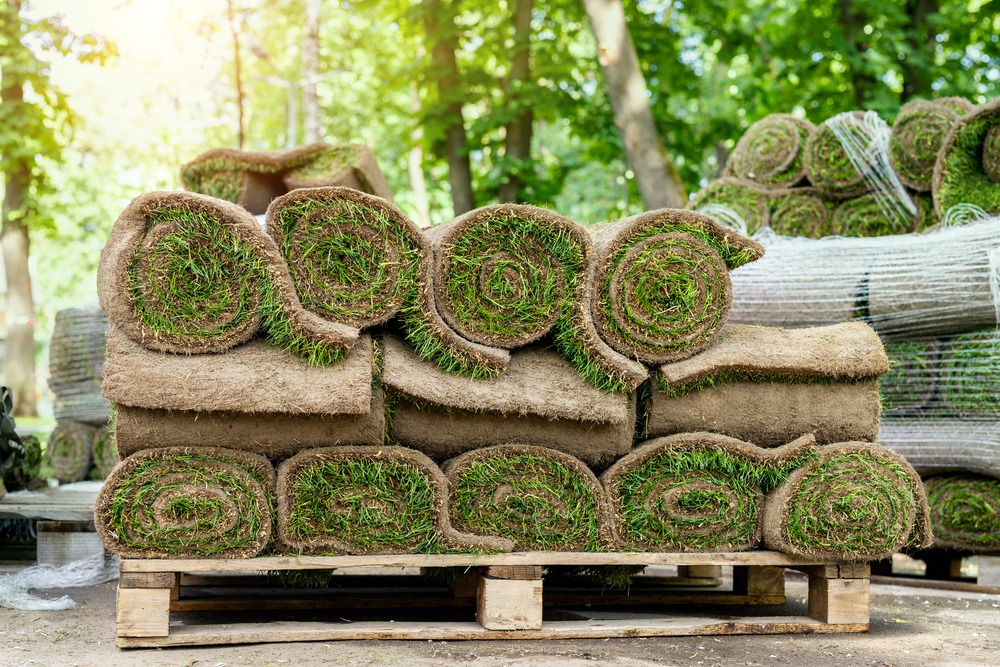 Greener Pastures Await Discover The Magic Of Council Growers SOD, Your Premier Sod Contractors